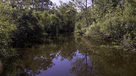 traveling intolousiana bayou with trees and spanish moss and reflections on water