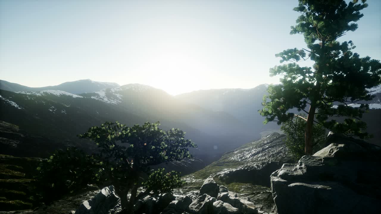 rayos de sol a través de los árboles