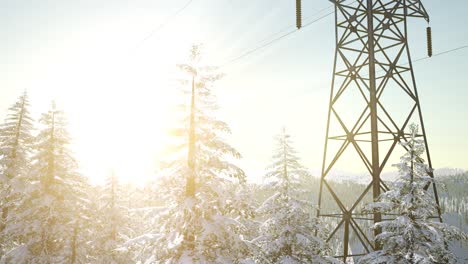 línea eléctrica al amanecer