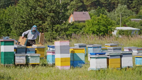 apiary in the village. apiculturist in protective hat working in the bee-garden on green trees background. many wooden hives stand on grass.