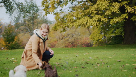 Mujer-En-El-Parque-De-Otoño-Jugando-Con-Cachorros-En-El-Césped