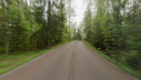 the car drives through a forested area, where the road cuts through the dense foliage