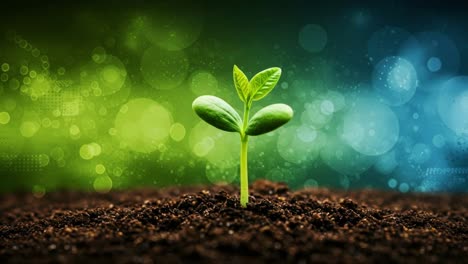 new seedling emerges from dark soil, showcasing growth and life against a colorful blurred background