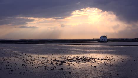 beautiful light reflects of rice fields and paddies near albufera spain 4
