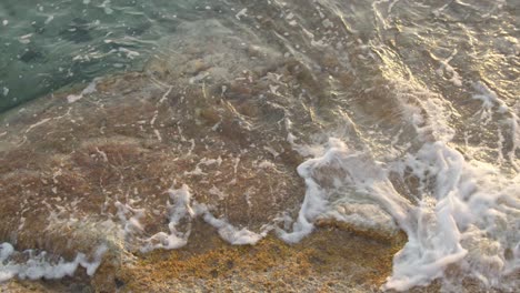 olas del mar mediterráneo en cámara lenta que fluyen sobre rocas con algas, de cerca