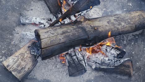 top closeup of log wood burning fire and hot embers outside during frozen winter