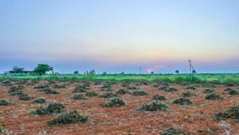 Dramatischer-Sonnenuntergang-Mit-Einem-Einzelnen-Baum-Auf-Einem-Reisfeld-Und-Erdnussbäumen-Im-Zeitraffer