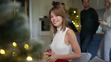 portrait of attractive woman holding christmas present