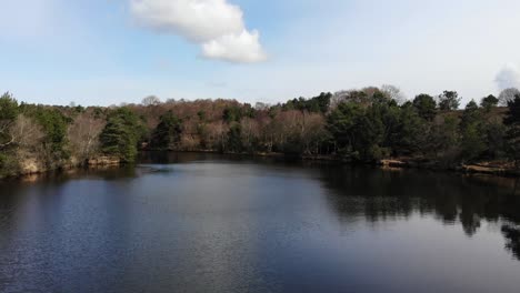 un tiro aéreo hacia adelante volando bajo sobre el embalse de squabmoor en devon, inglaterra, en un día soleado.