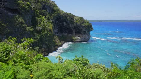 A-tropical-seaside-cliff-full-of-vegetation-with-waves-crashing-against-it-during-the-daylight-hours