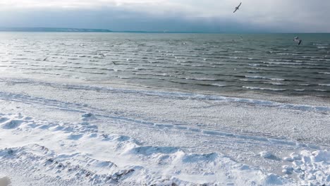 Gentle-waves-wash-ashore-on-a-tranquil-beach,-with-a-soft-sky-overhead-and-seabirds-in-flight