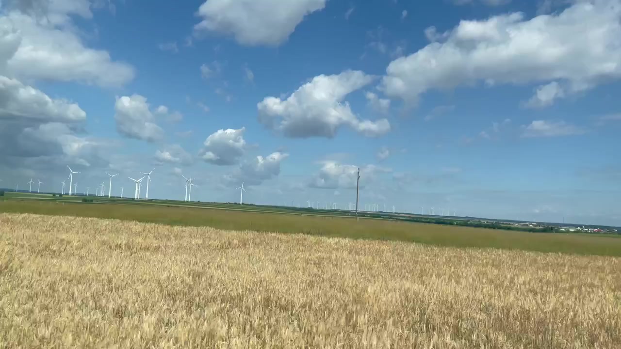 4K video av en vindturbinpark og en hveteåker med kraftledninger i Østerrike. Europa