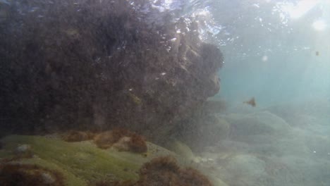 under water stone  sunset 4k