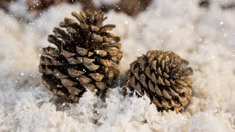 animación de la nieve cayendo sobre las conos de pino en la nieve