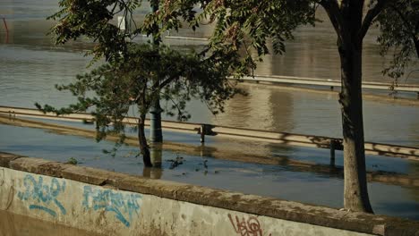flooded road with submerged trees and graffiti covered wall during the 2024 budapest flood