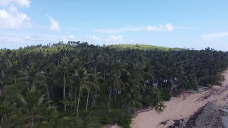 Pueblo-Filipino-En-La-Remota-Isla-Corregidor-En-Medio-De-Un-Exuberante-Follaje-De-Bosque-De-Palmeras,-Disparo-De-Drones