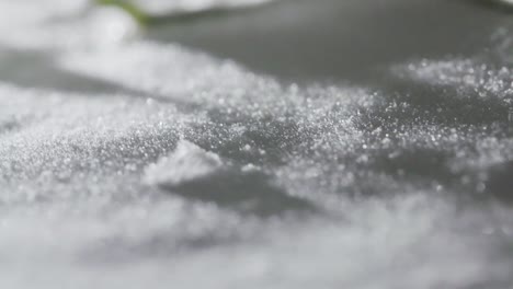 fotografía macro abstracta de una flor congelada
