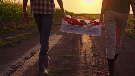 los agricultores que llevan una caja de pimientos al atardecer