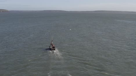 aerial: seagull flies thru frame, fishing vessel motors toward shore