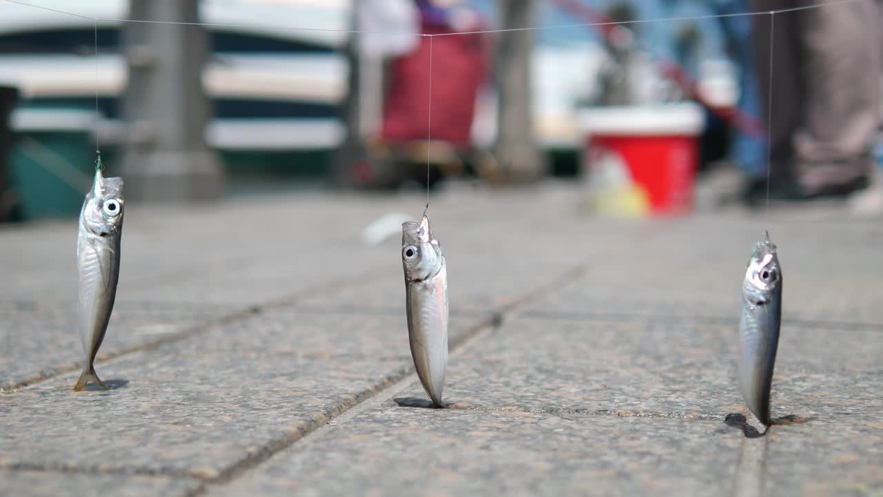 하루 동안의 시