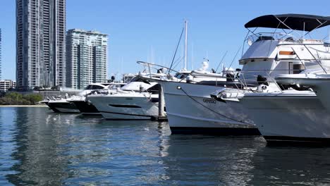 yachts and boats docked at a marina