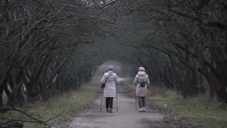 people walking in the fog towards the end of the alley with trees. mysterious atmosphere in the big city