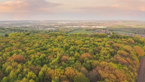 vuelo en movimiento sobre toma aérea de bosques y campos de campo, yorkshire, inglaterra