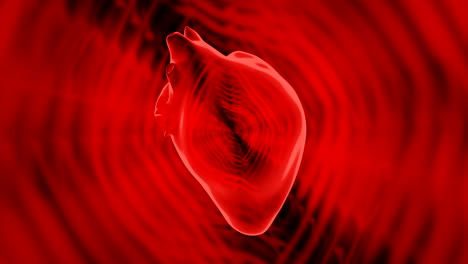 3d rendered heart anatomy