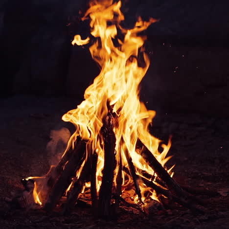 bonfire burning at night. flames of fire on black background in slow motion.