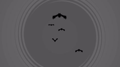 animation of halloween bats over moving grey background