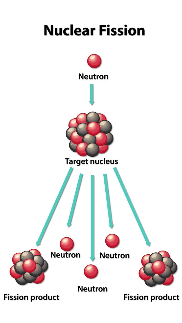 Animation illustrates nuclear fission with neutrons splitting a target nucleus, resulting in fission products and energy release
