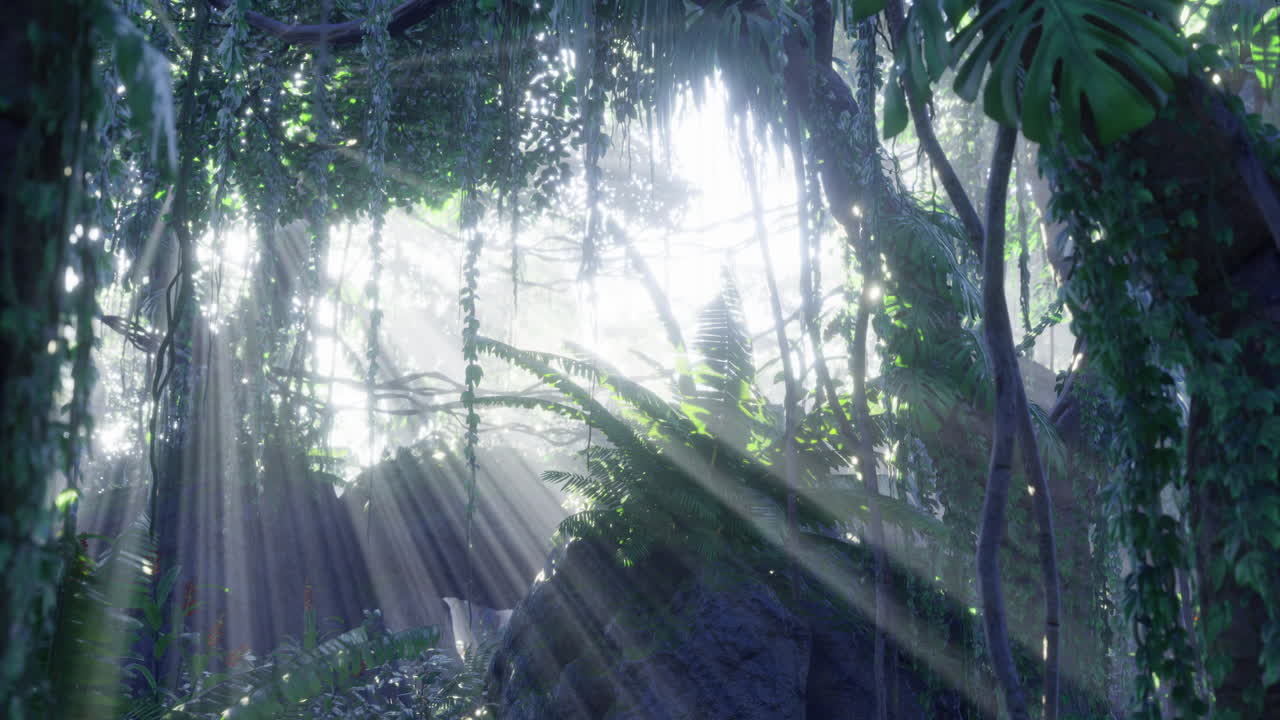 빛이 울창한 정글을 가로질러 필터링