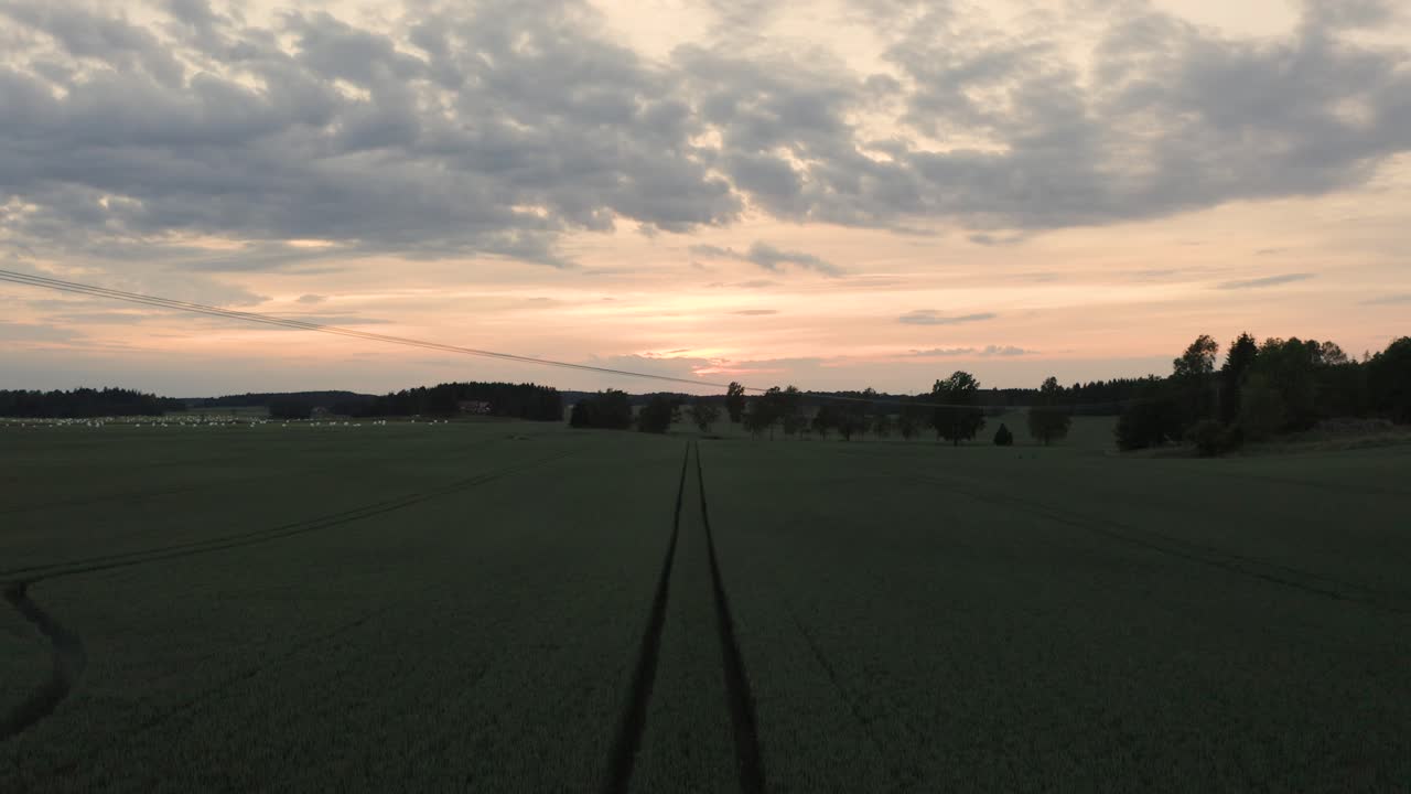 Aerial flight above Tractor tracks in wheat field at golden sunset