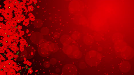 red poppy flowers on abstract background with blurred bokeh. rotating floral elements. looped summer holiday animation.