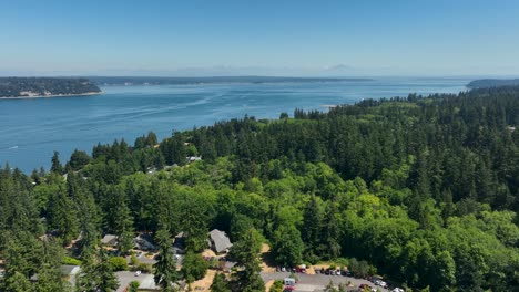 wide aerial view from langley, washington showing the vastness of the ocean amongst a lush forest of evergreen trees