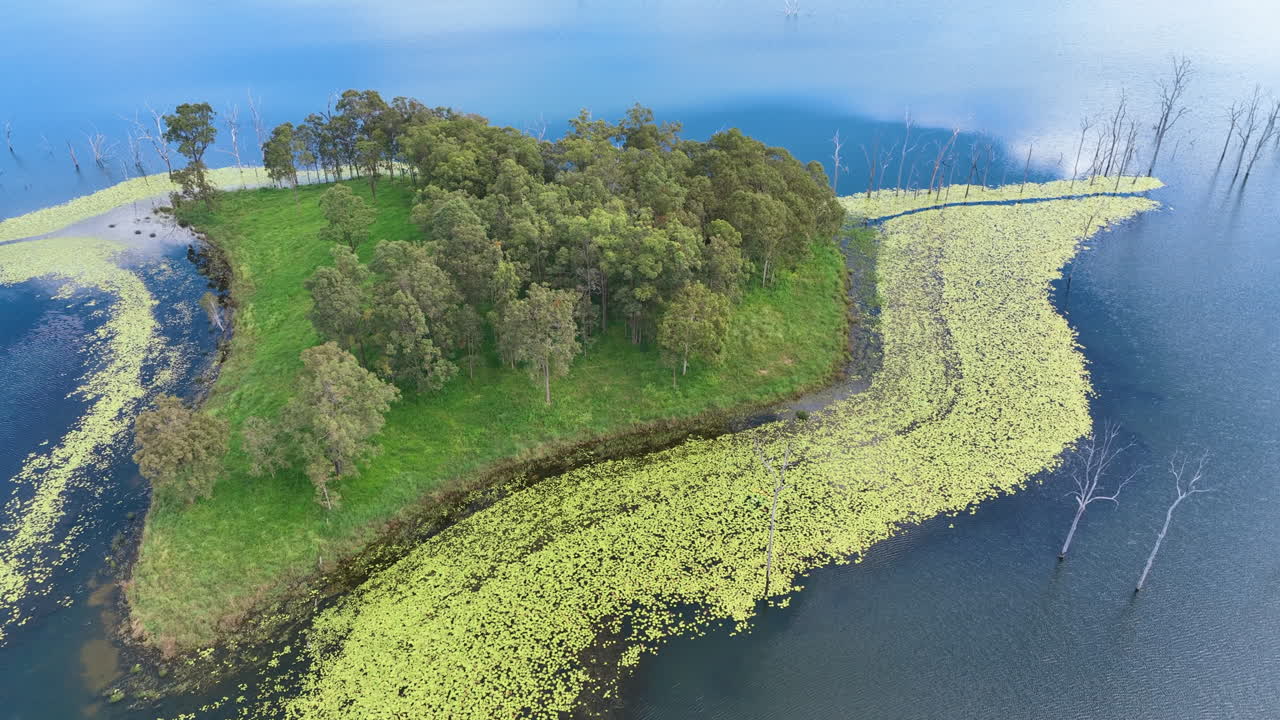 Drone flight captures the beautiful swathes of light green lilies surrounding deep green forested isles in Mackay region's major water supply catchment Lake Teemburra
