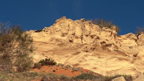 Cliffs-and-vegetation-at-sunset,-camera-trucking-right,-day