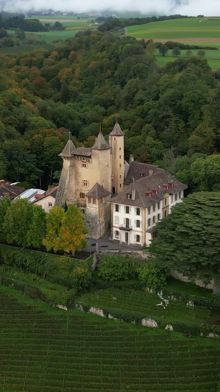 Vertical, aerial: establishing drone shot of Vaumarcus Castle during the day in canton of Neuchatel, Switzerland