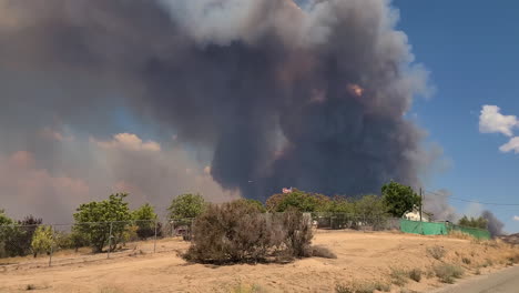 dark wildfire smoke above agricultural fields and vineyards