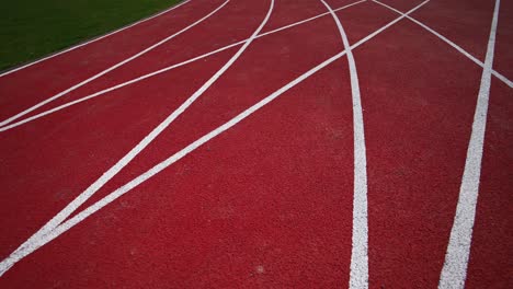 following dark red running track crossed by the white lines. green grass field and paved path on both sides of the track. close up.
