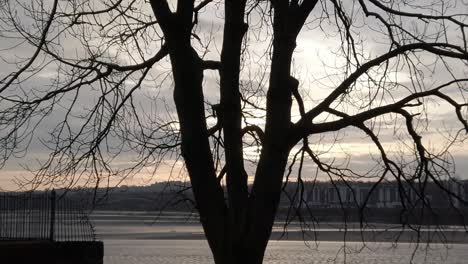 Sonnenaufgangsparallaxe-In-Zeitlupe-über-Der-Leuchtenden-Mersey-River-Promenade-Zur-Stadterneuerung