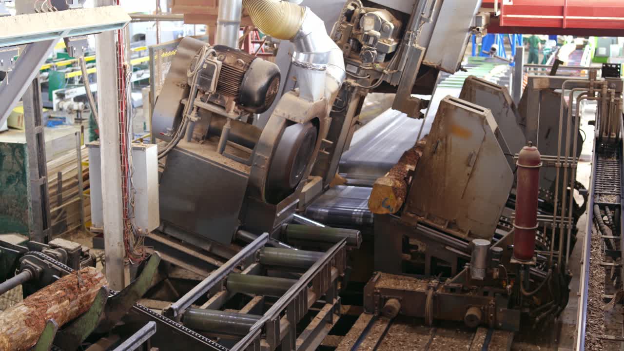 Automatic line sawing. Process of cutting logs into boards