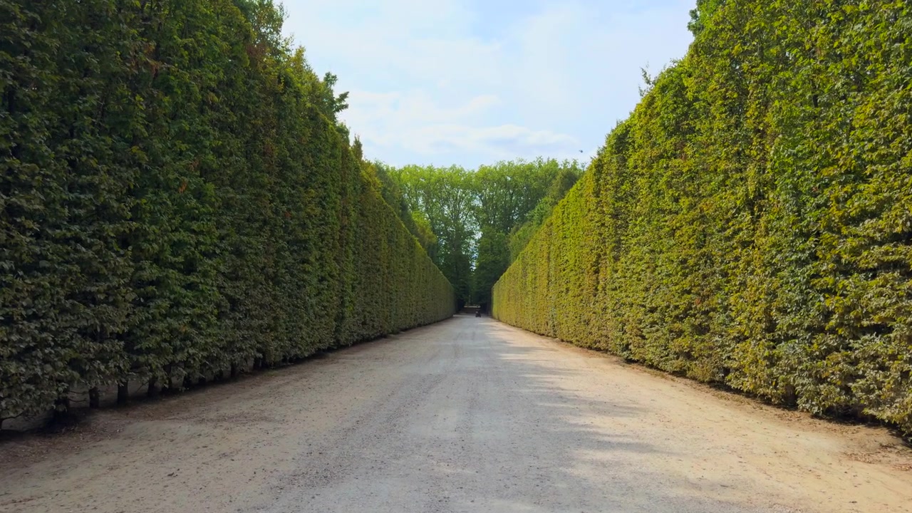 Gardens of versailles showing a long gravel path flanked by high, meticulously trimmed hedges and green walls, leading into distant trees.