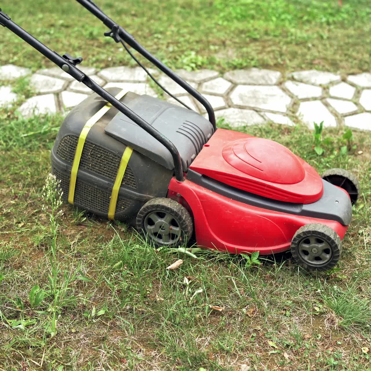 little boy mowing the lawn on a bright summer day, close-up