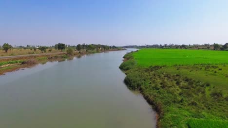 Disparo-De-Drones-Volando-A-Lo-Largo-De-Un-Río-Con-Un-Campo-De-Arroz-Verde-Ubicado-En-Sus-Orillas-Con-Un-Grupo-De-Pájaros-Volando-A-Través-Del-Marco