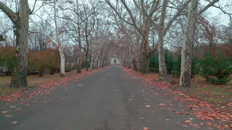 budapest, hungary, flying over kerepesi cemetery by drone in autumn, golden and brown leaves, hazy, foggy weather, ferenc deák mausoleum - tomb