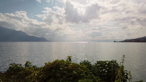 el lago de ginebra brillando con una lancha a motor en el horizonte y la vegetación en primer plano