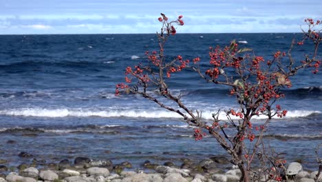 the baltic sea in slow-motion, filmed from öland, sweden