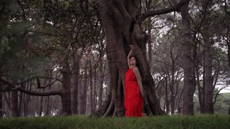 dancing to the silence of the trees in a forest - wide shot