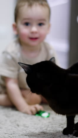 black beautiful cat sitting on the floor. happy baby touches the pet's tail and feline steps aside. vertical video